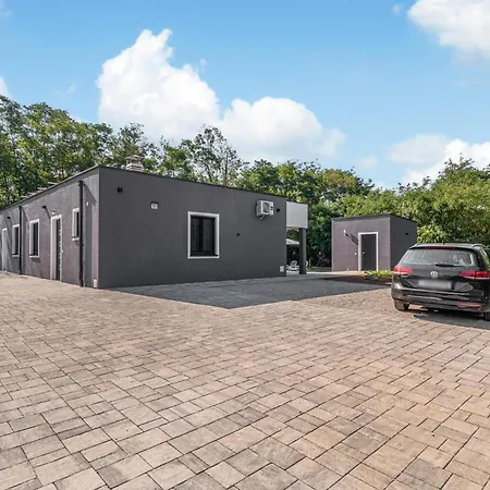 Cozy In * Nedeščina